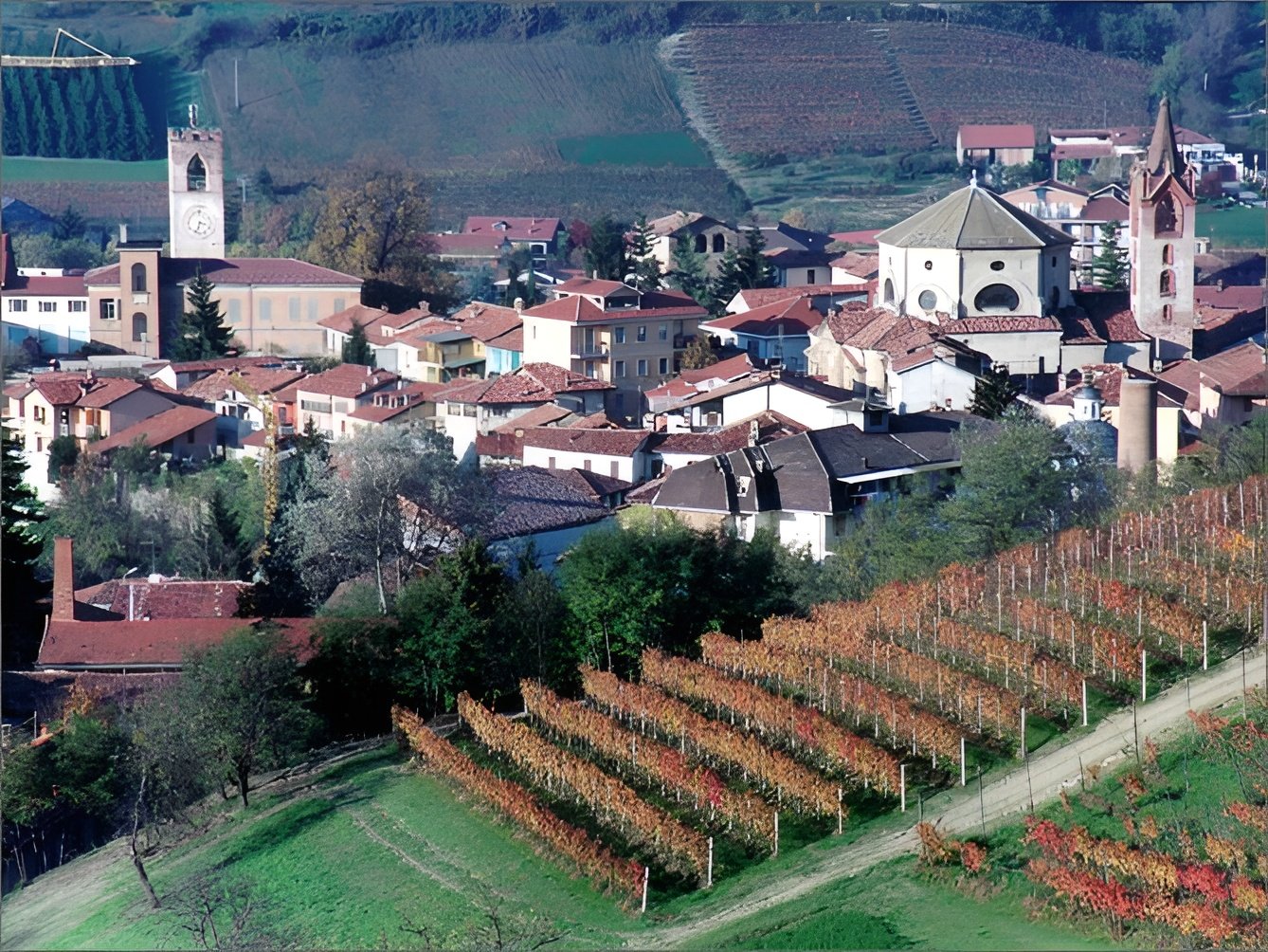 dogliani
