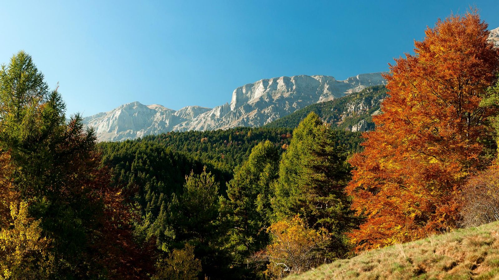 monte_mongioie
