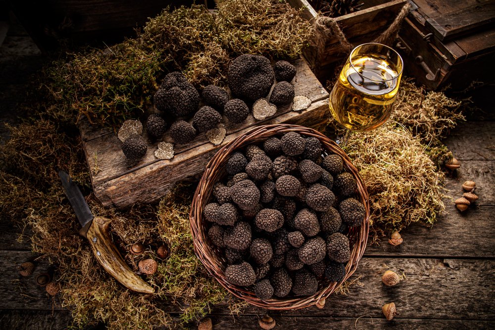 tartufo-mondovi